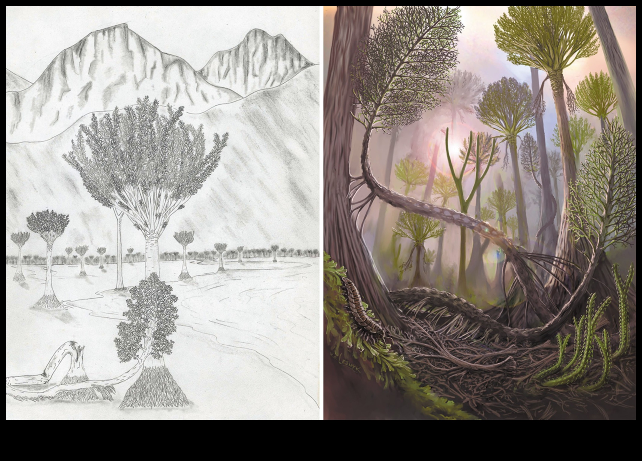 المخططات العلمية: نقل الأفكار المعقدة من خلال الفن