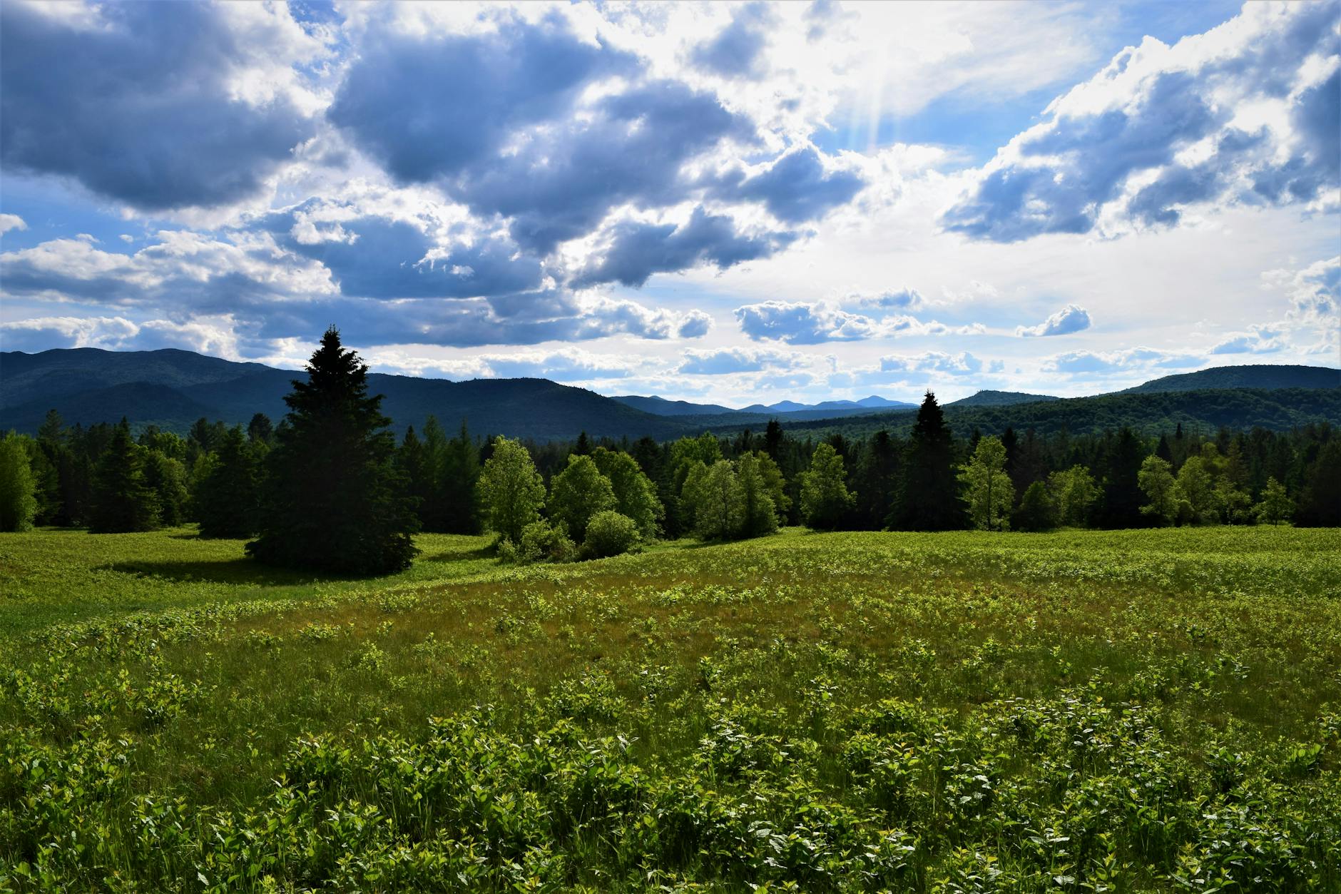 الأسطح المزخرفة تضيف نسيجًا إلى الرسومات الغريبة 6 مثال على رسم غريب الأطوار مع الملمس