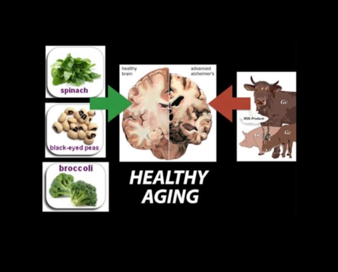 خيارات التغذية الحكيمة دليل للشيخوخة الصحية 4 خيارات التغذية الحكيمة: دليل للشيخوخة الصحية