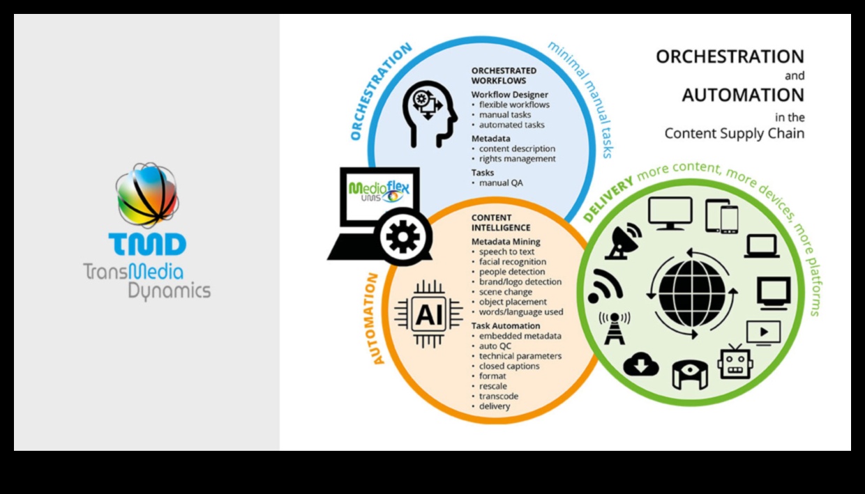 اللوحة الرقمية منسق نجاح إدارة المحتوى 3 القماش الرقمي: تنظيم النجاح في إدارة المحتوى