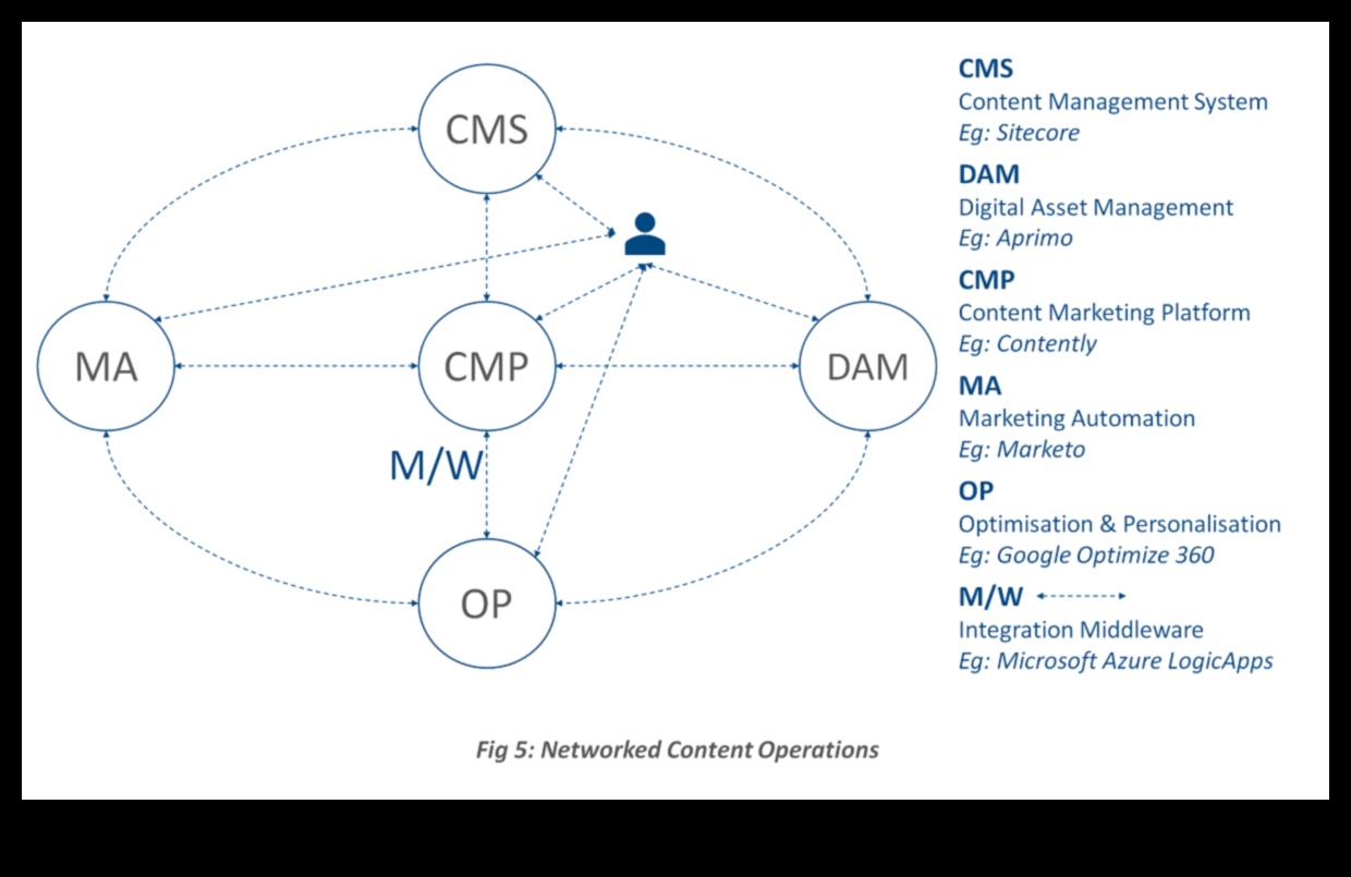 اللوحة الرقمية منسق نجاح إدارة المحتوى 2 القماش الرقمي: تنظيم النجاح في إدارة المحتوى