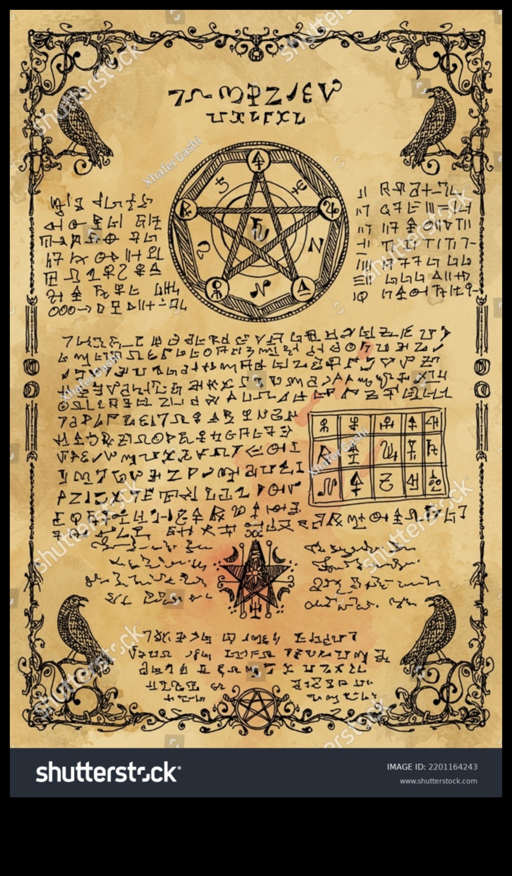 المخطوطات المسحورة: سحر الرسوم التوضيحية لمخطوطات العصور الوسطى