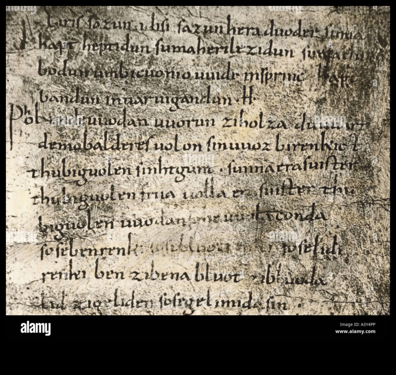 المخطوطات المسحورة: سحر الرسوم التوضيحية لمخطوطات العصور الوسطى