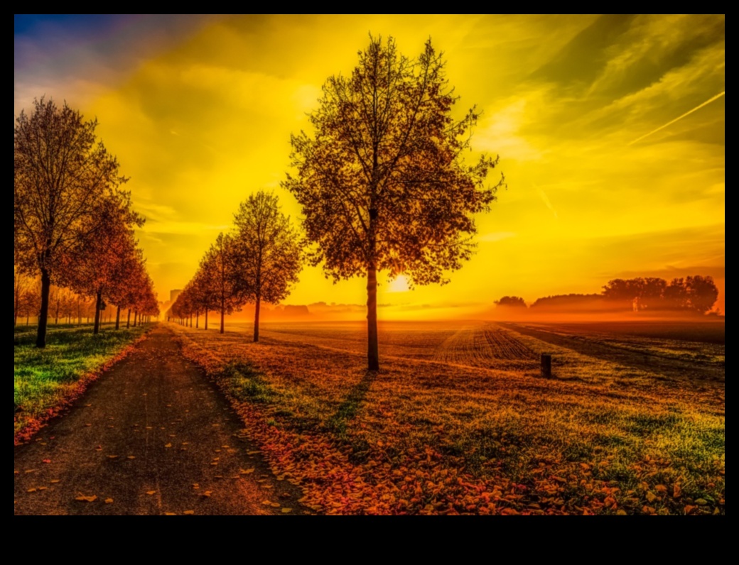 لحظات دقيقة: نهج الواقعية التفصيلي للفن