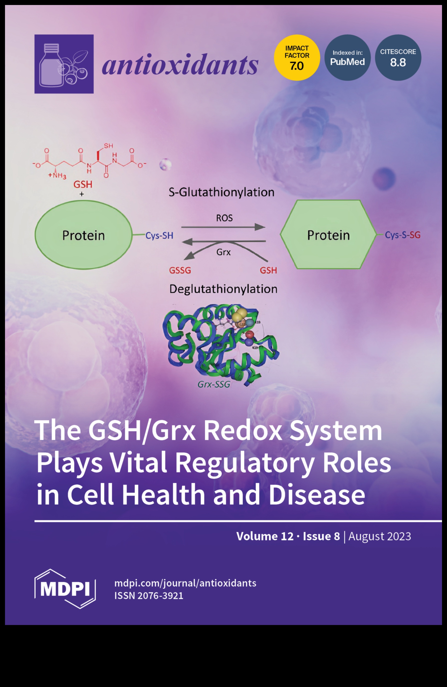 كشفت مضادات الأكسدة عن المفتاح لفتح ذروة الأداء 5 كشف النقاب عن مضادات الأكسدة: كشف أسرار ذروة الأداء
