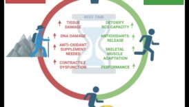 كشف النقاب عن مضادات الأكسدة: كشف أسرار ذروة الأداء