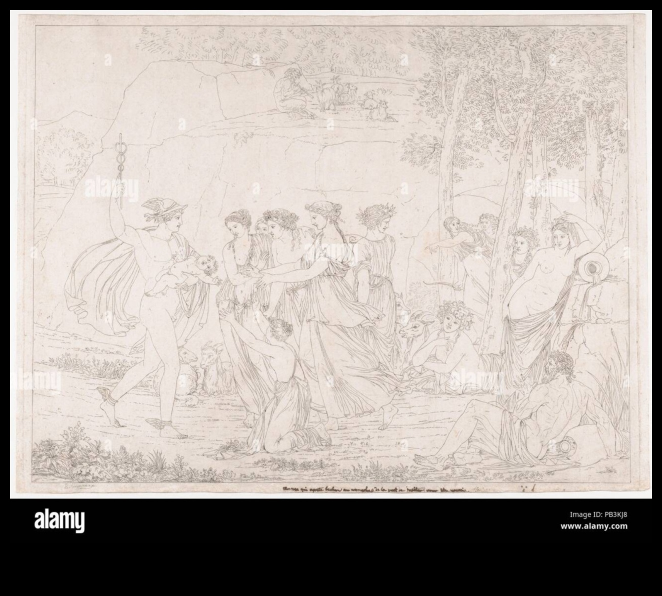 الأناقة في النقوش: الخطوط الدقيقة للرسومات الكلاسيكية الجديدة