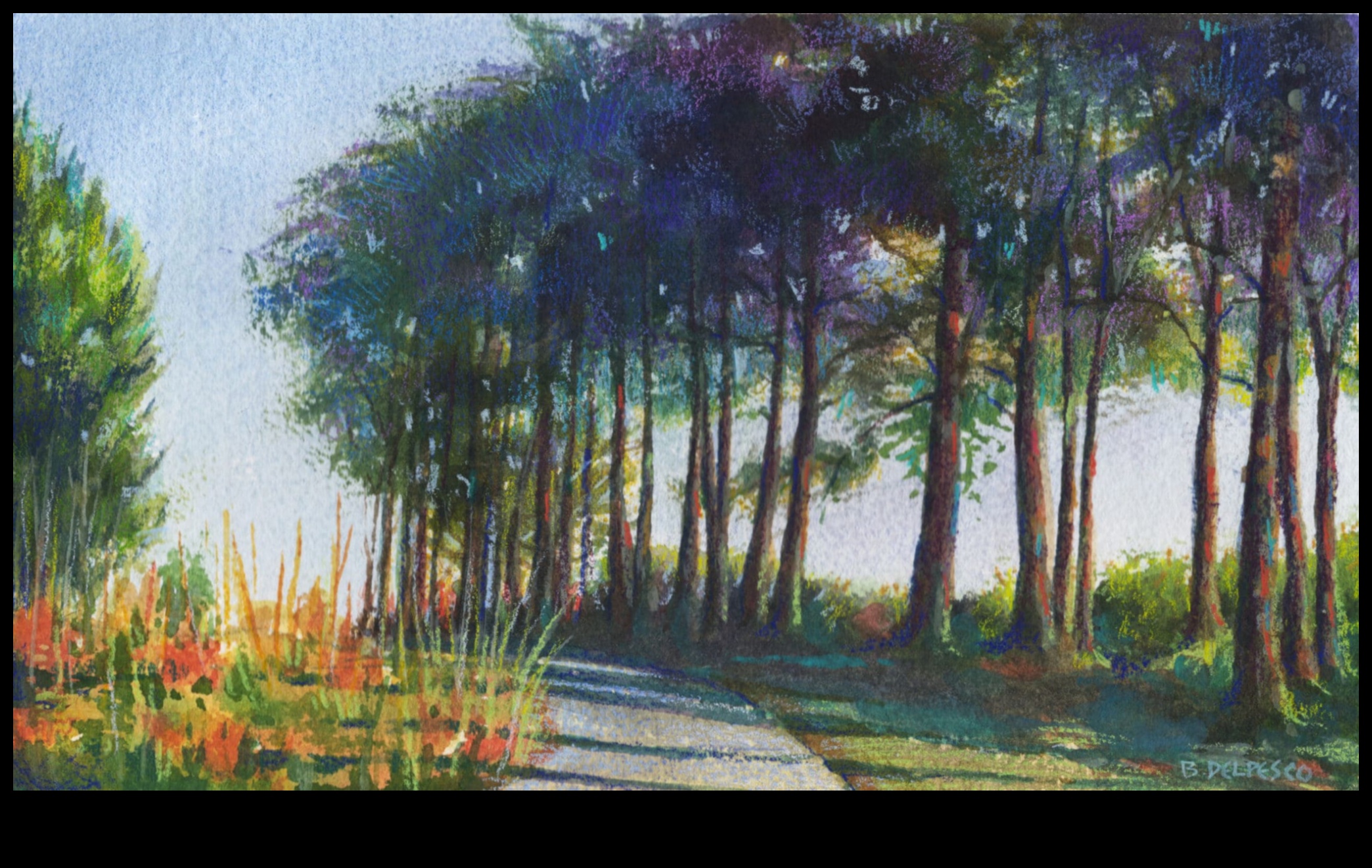 حدود غير واضحة: استكشاف النعومة في فن الرسم بالقلم الرصاص بالألوان المائية