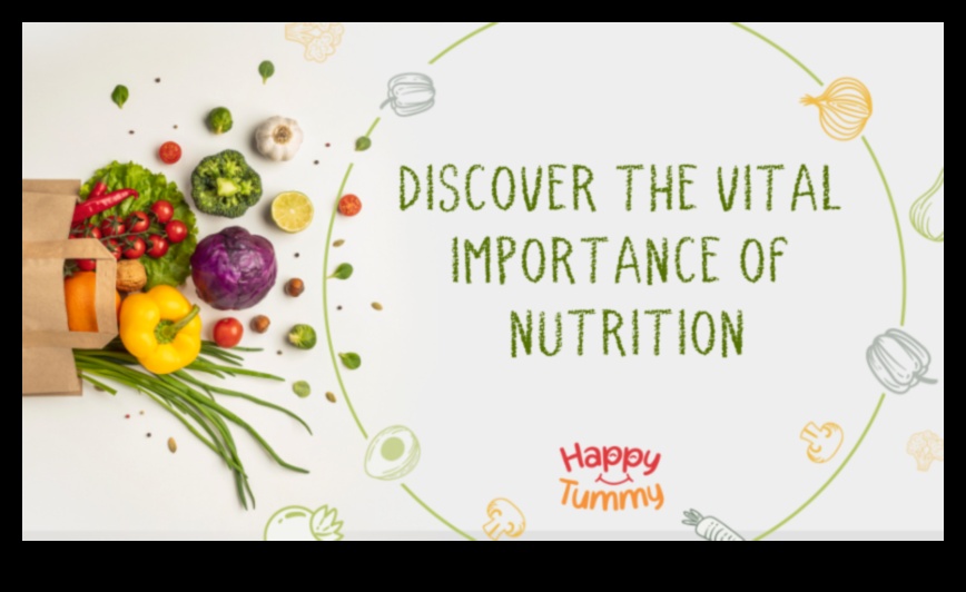 العناصر الغذائية الحيوية: اللبنات الأساسية لجسم مزدهر