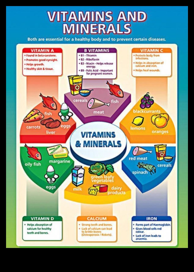 أبجديات العناصر الغذائية: دليل مدى الحياة للصحة الجيدة 3 أبجديات العناصر الغذائية: دليل مدى الحياة للرفاهية