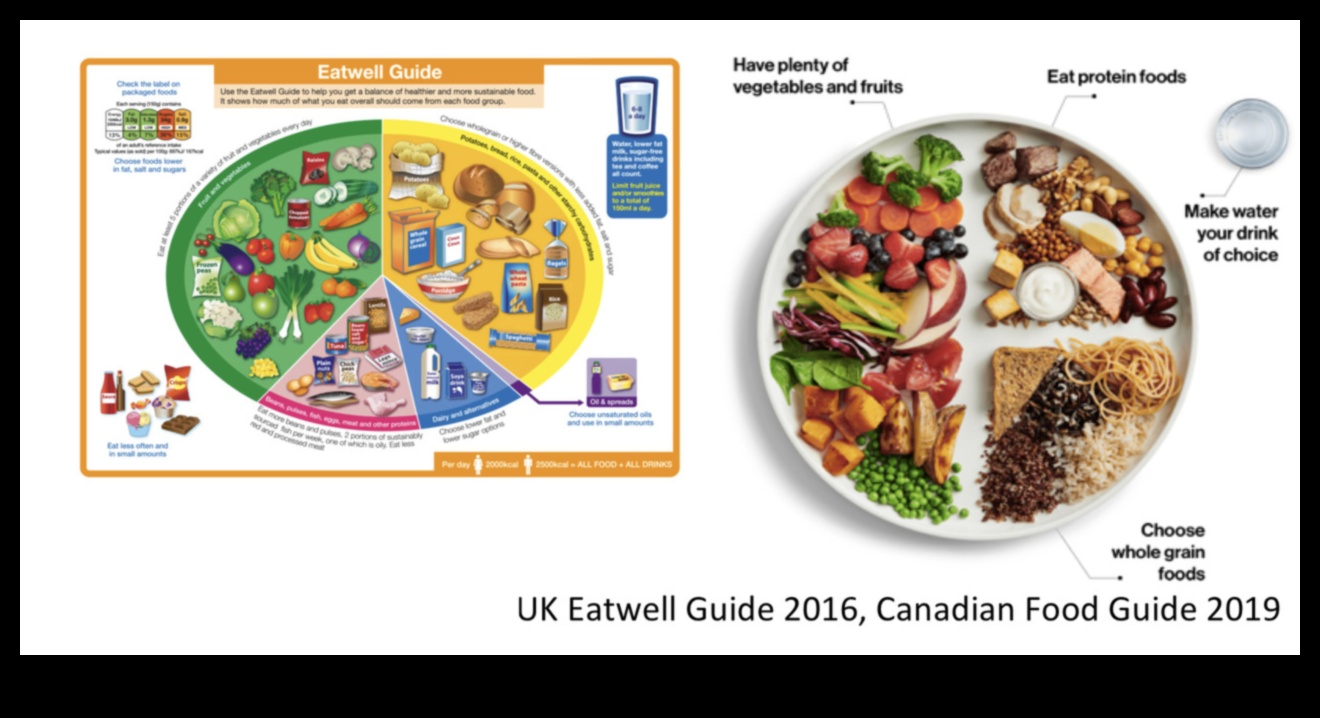 تذوق الصحة: ​​فن وعلم القيمة الغذائية