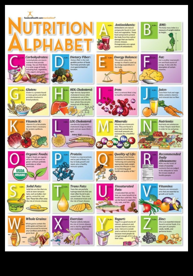 أبجديات تألق المغذيات: رحلة إلى صحة أفضل