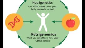 الحمض النووي المحدد بك، مصيرك الطريق إلى الأمام علم الوراثة الغذائية كيف يكون لها تأثير على جيناتك في الوجبات التي تتناولها وكيف يكون لها تأثير على تلك الوجبات في صحتك. 6 الحمض النووي الخاص بك، مصيرك: مستقبل علم التغذية الجيني