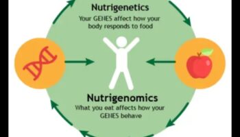 الحمض النووي الخاص بك، مصيرك: مستقبل علم التغذية الجيني