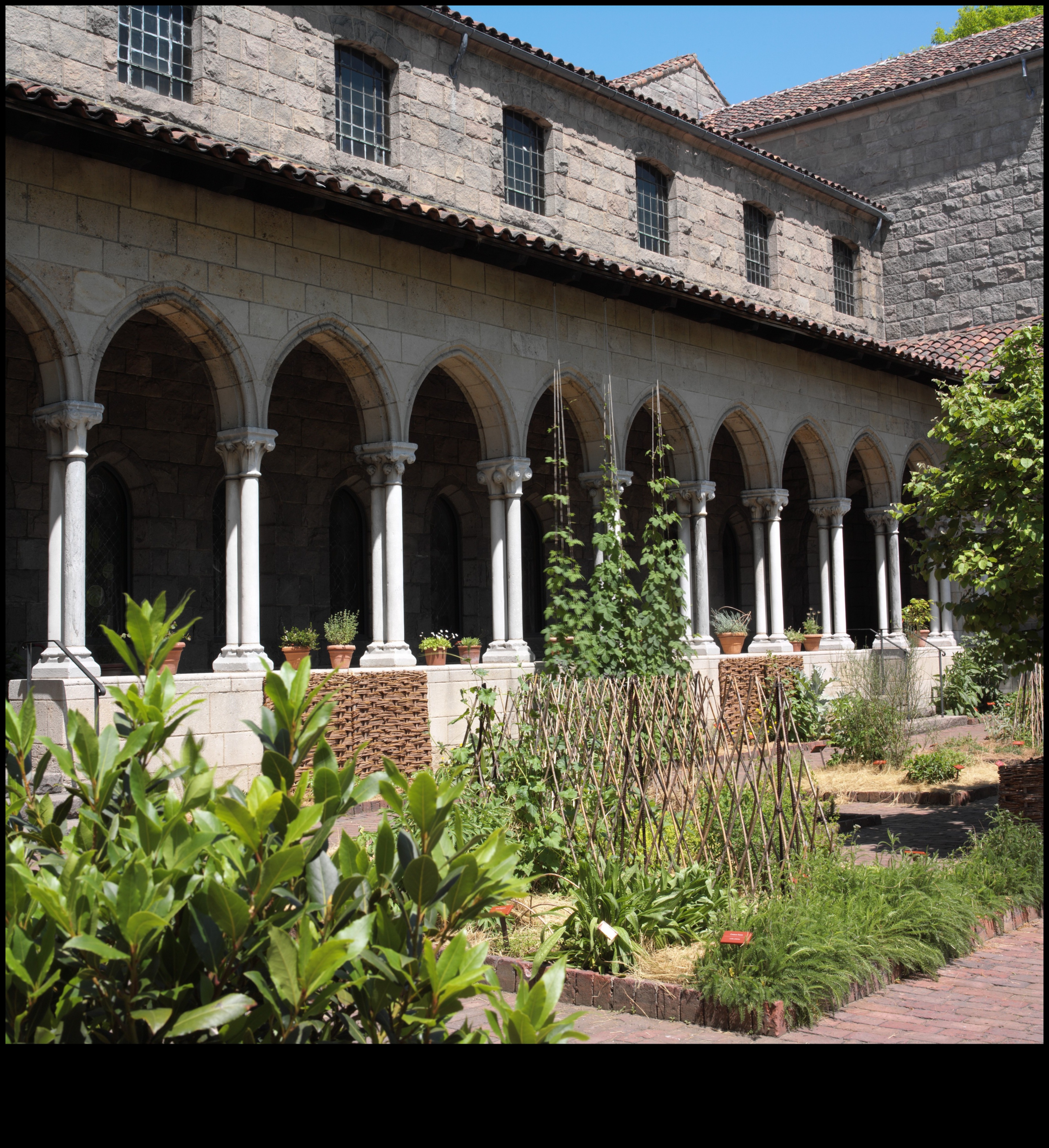 الممرات الفنية: استكشاف الجمال المعماري في الأديرة الباروكية