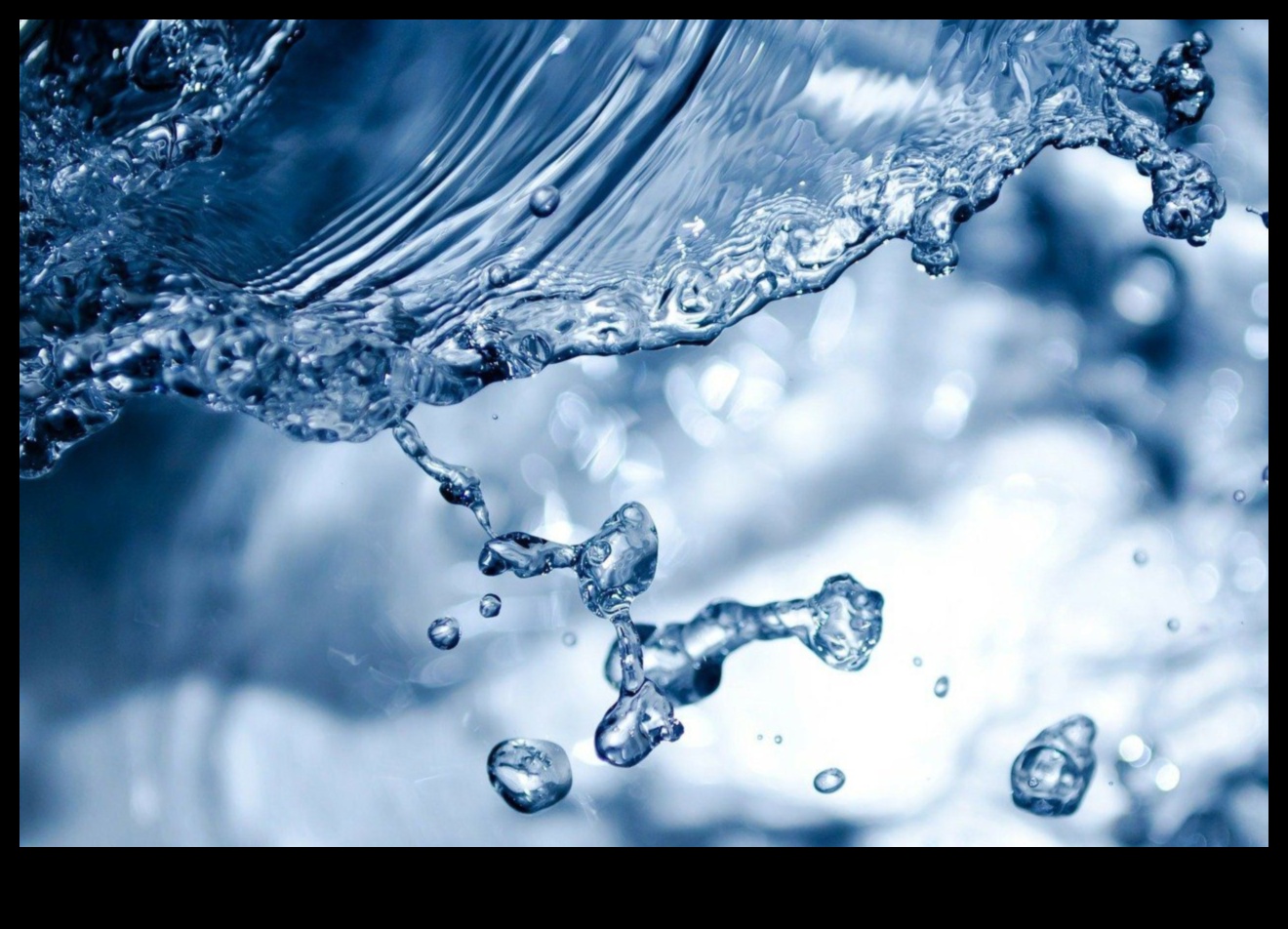 الترطيب الأساسي 101: دليل المبتدئين لحياة جيدة الترطيب