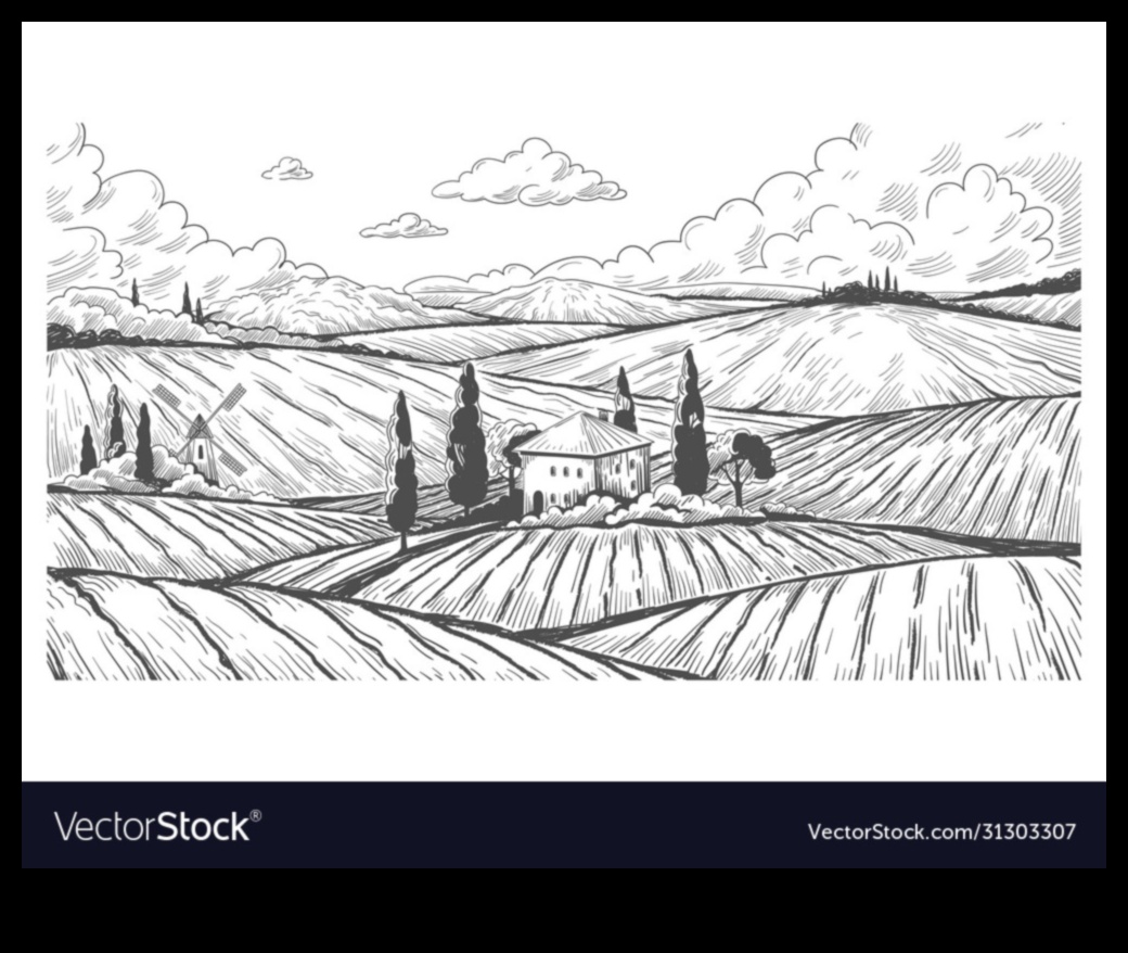 المناظر الطبيعية المنقوشة تضيف بعدًا إلى رسومات الطبيعة 1 المناظر الطبيعية المنقوشة: إضافة البعد إلى رسومات الطبيعة